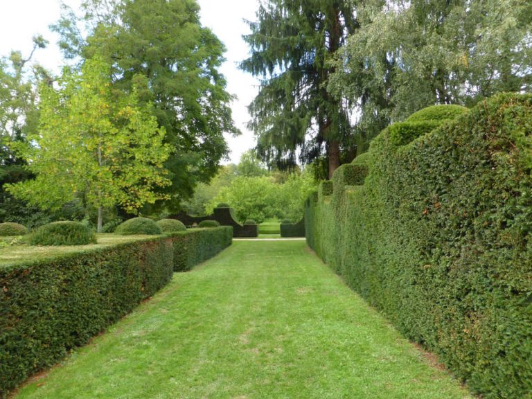 jardin2 jardin2