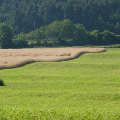 lmontceauphotoprairies
